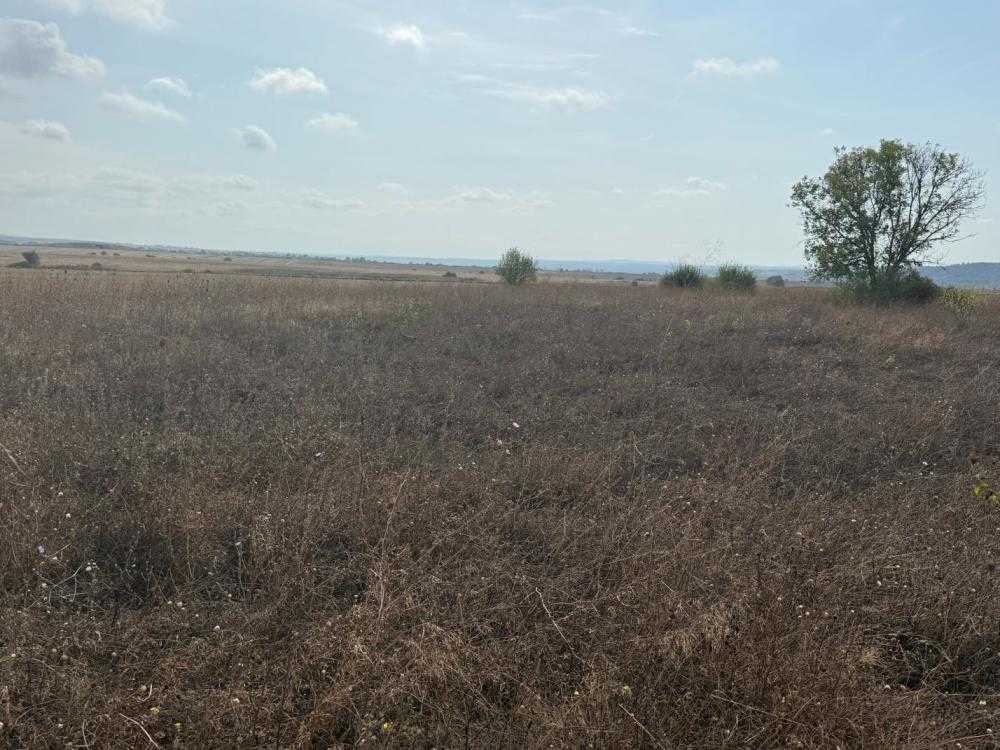 Земеделска земя Ливада