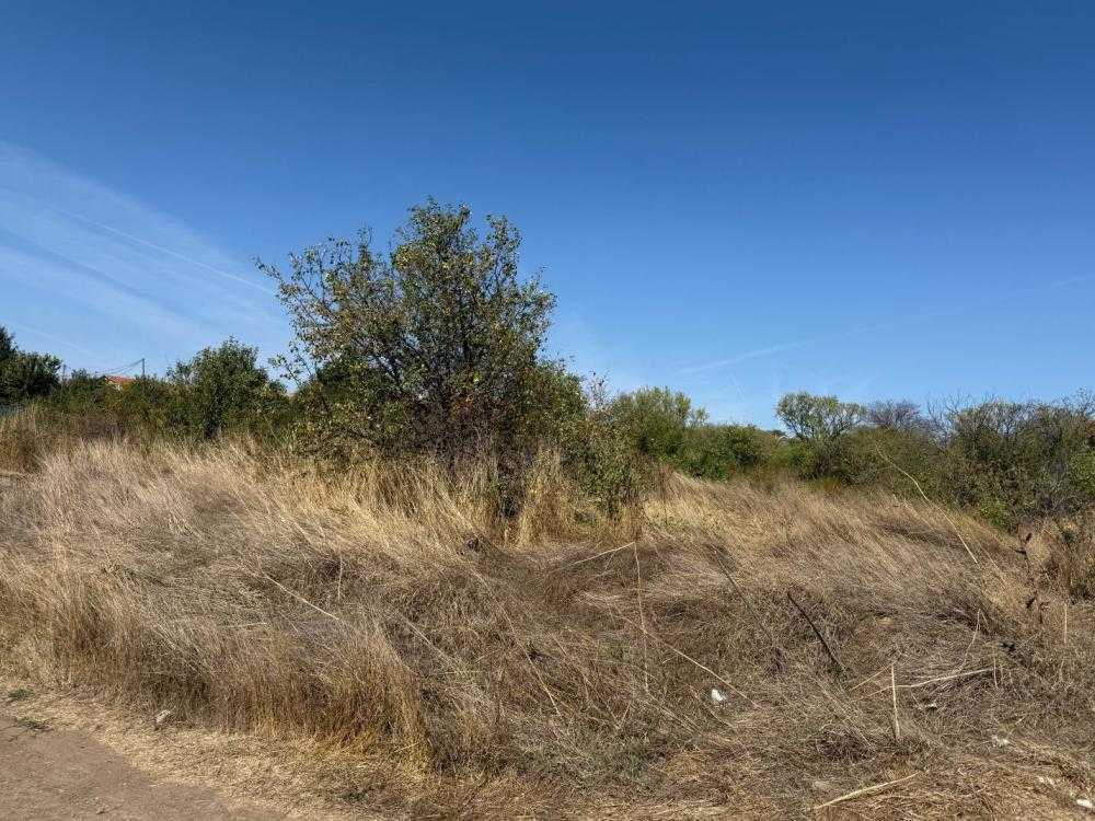 Парцел Брястовец