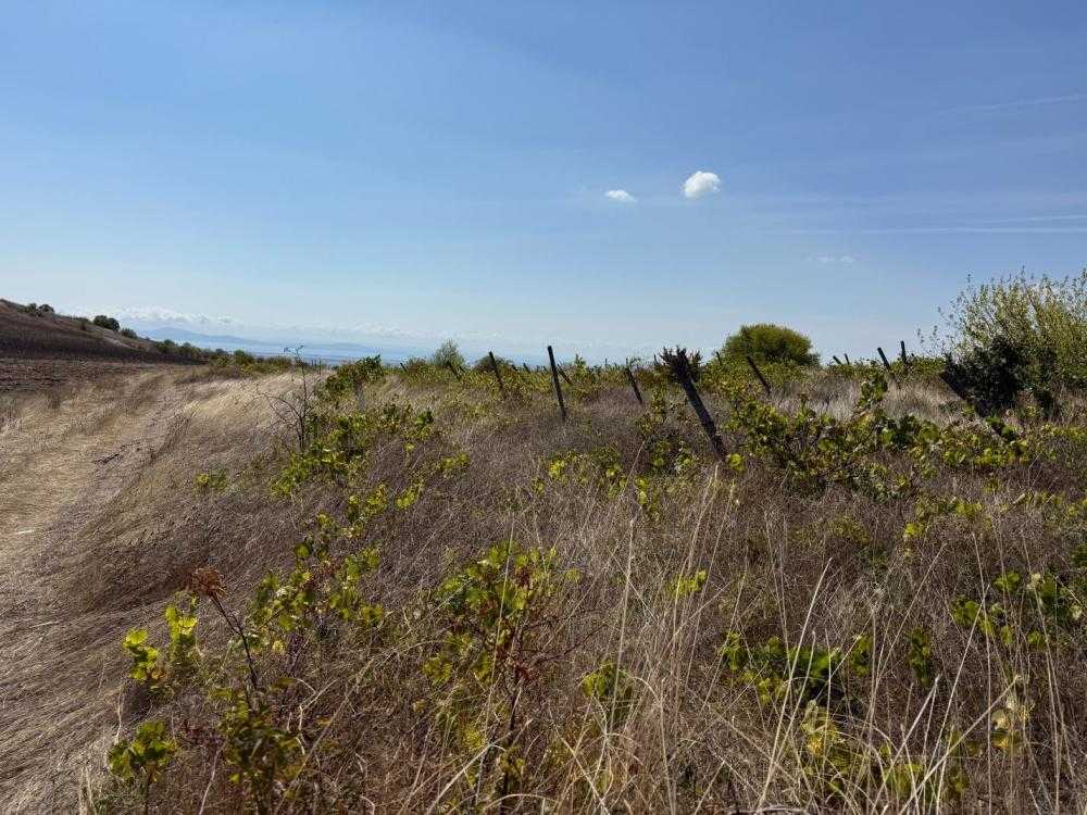 Земеделска земя Брястовец