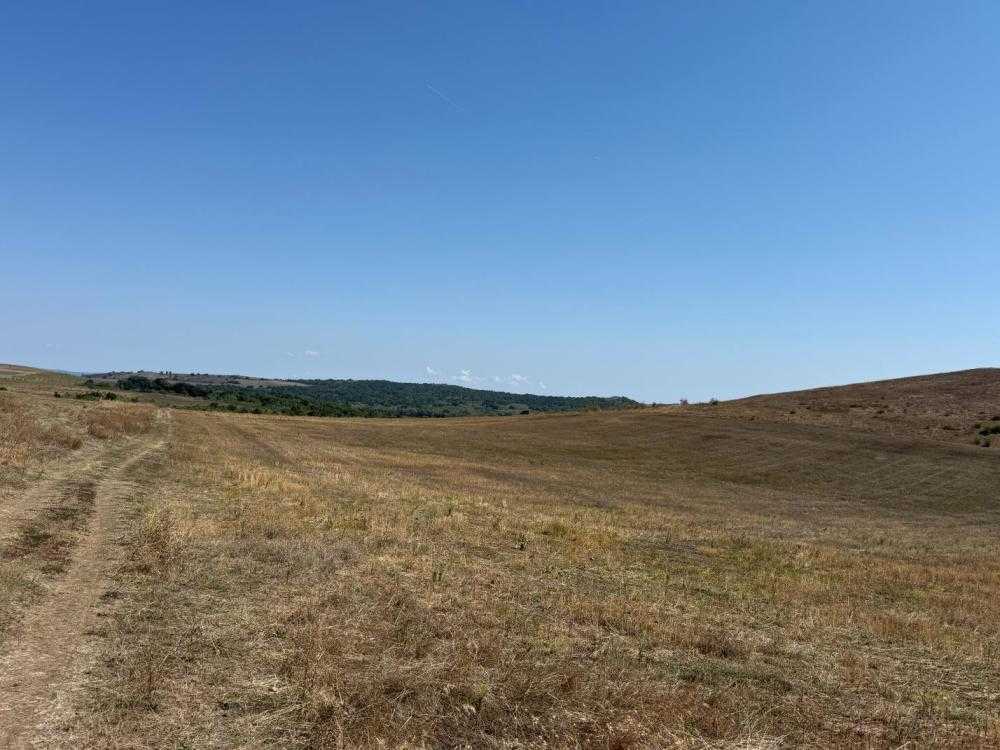 Земеделска земя Брястовец