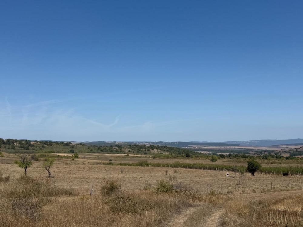 Земеделска земя Брястовец