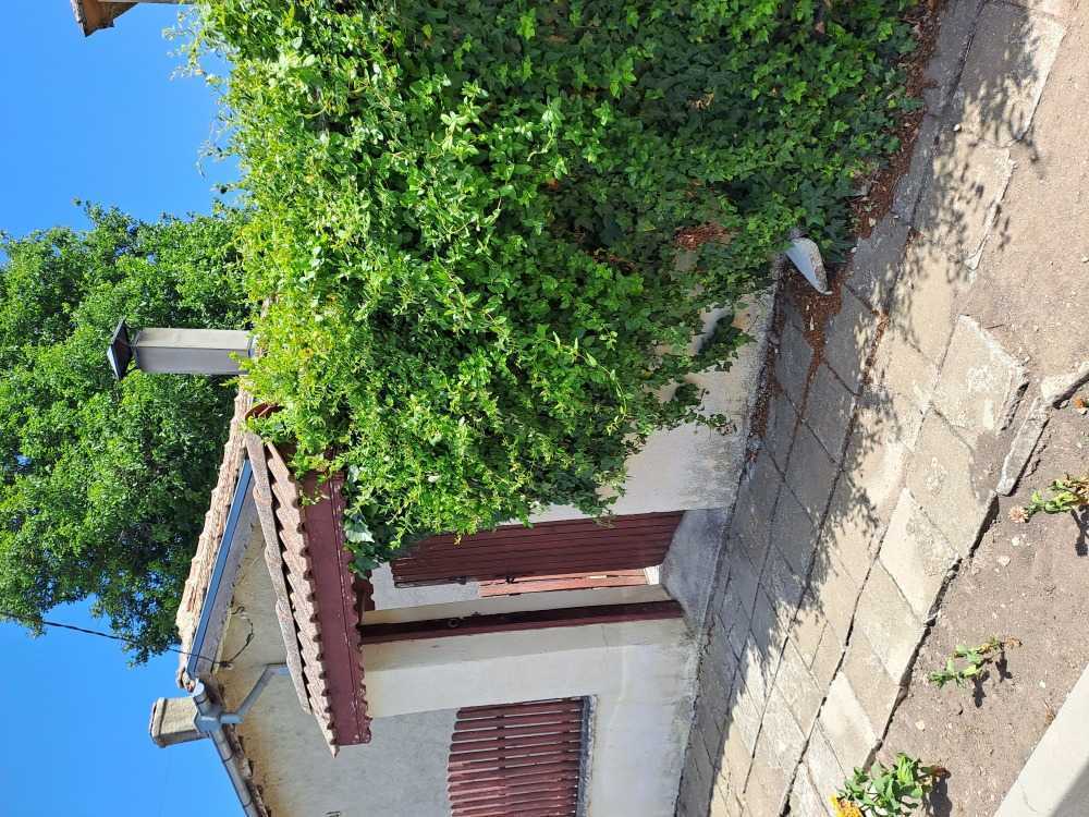 Къща с парцел Василево