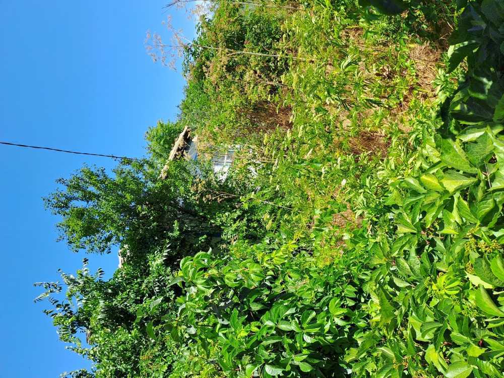 Парцел Спасово