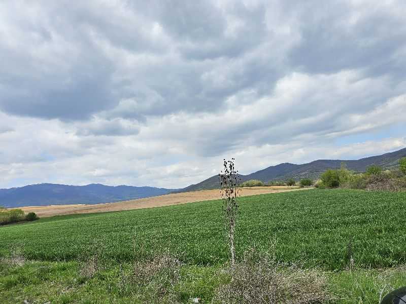 Земеделска земя Гурково