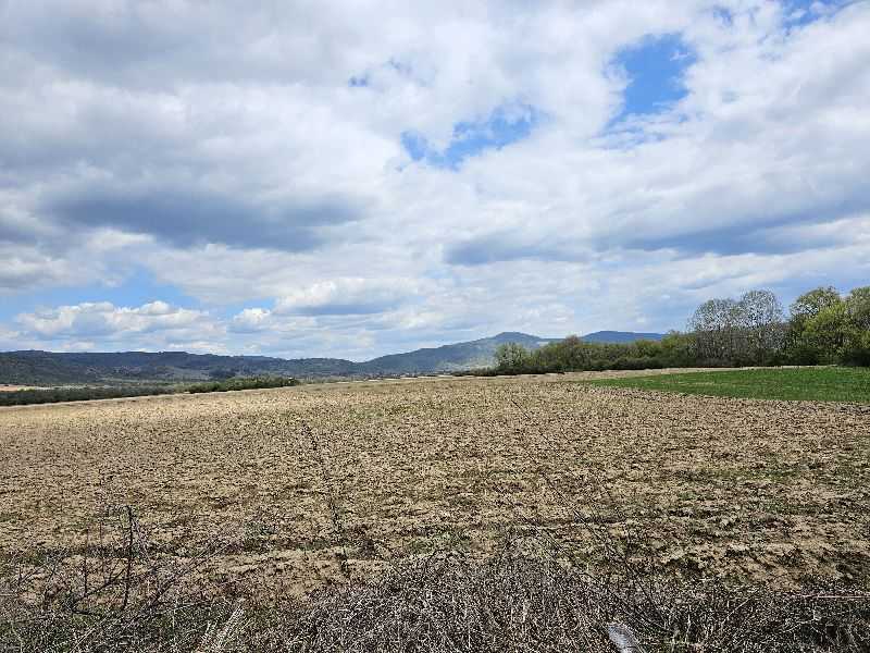 Земеделска земя Гурково
