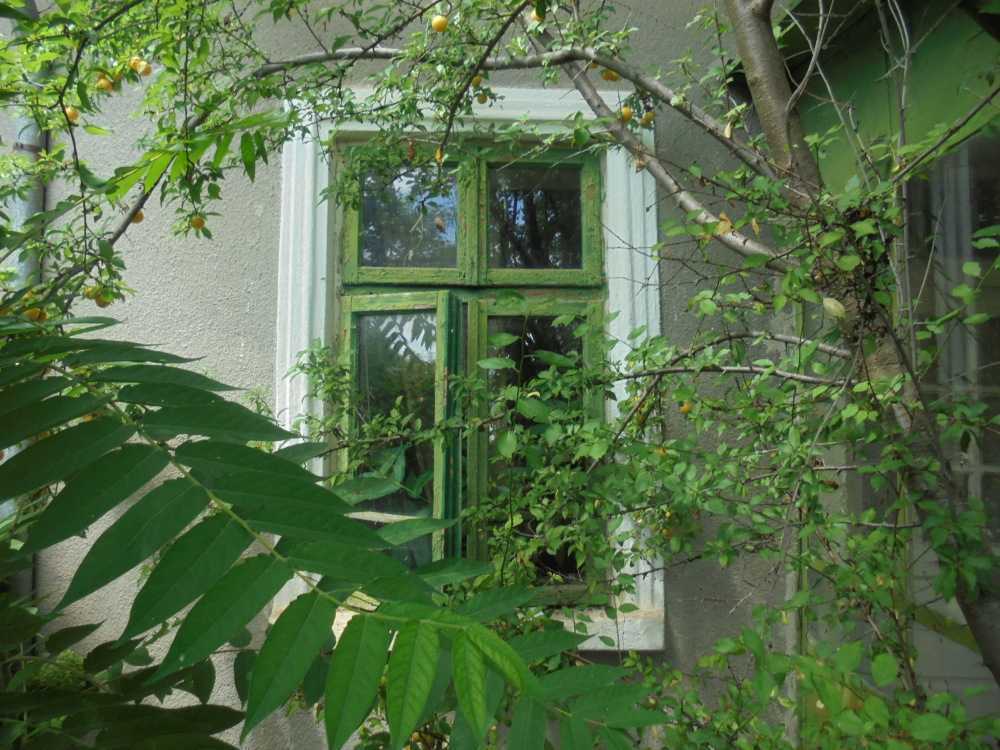 Парцел с къща Красен