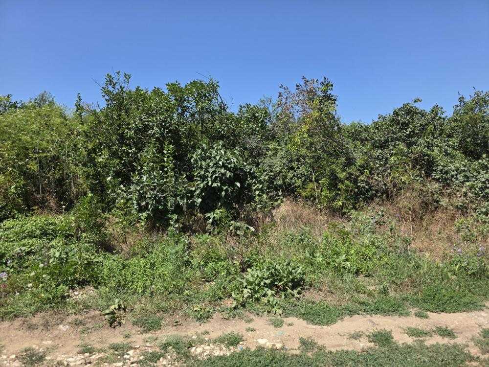 Земеделска земя Русе