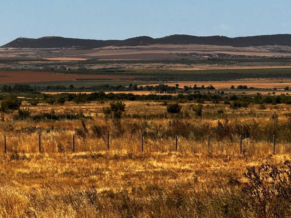 Парцел Кошарица