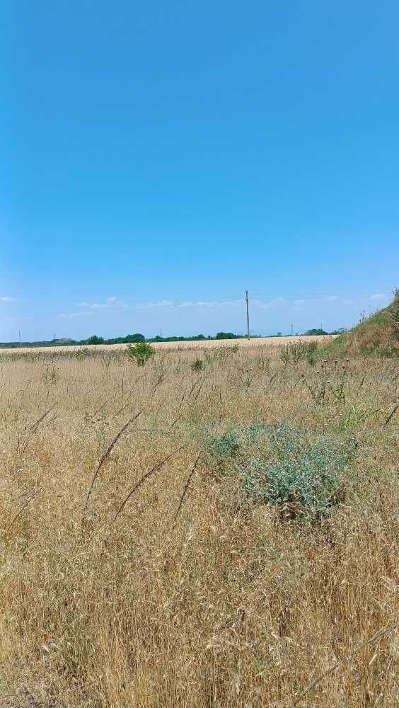 Земеделска земя Катуница