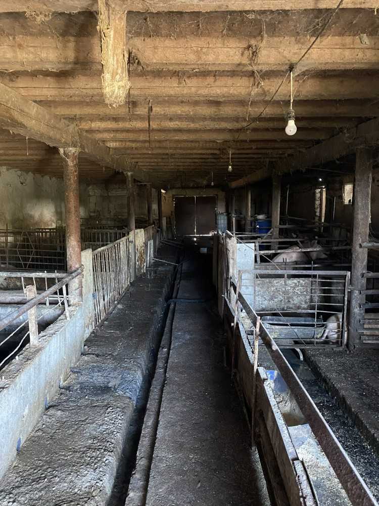 Други Боянци