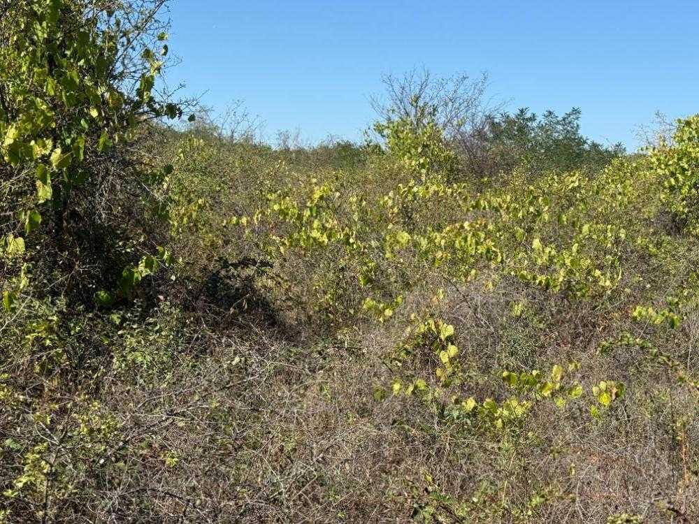 Земеделска земя Страцин