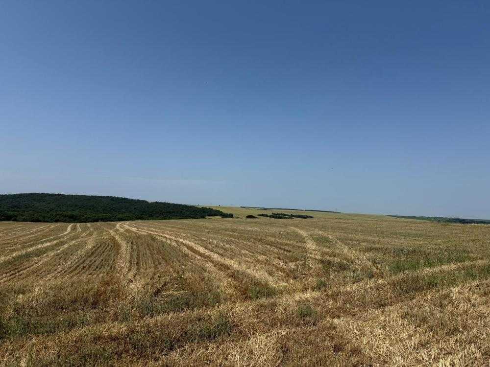 Земеделска земя Дюлево