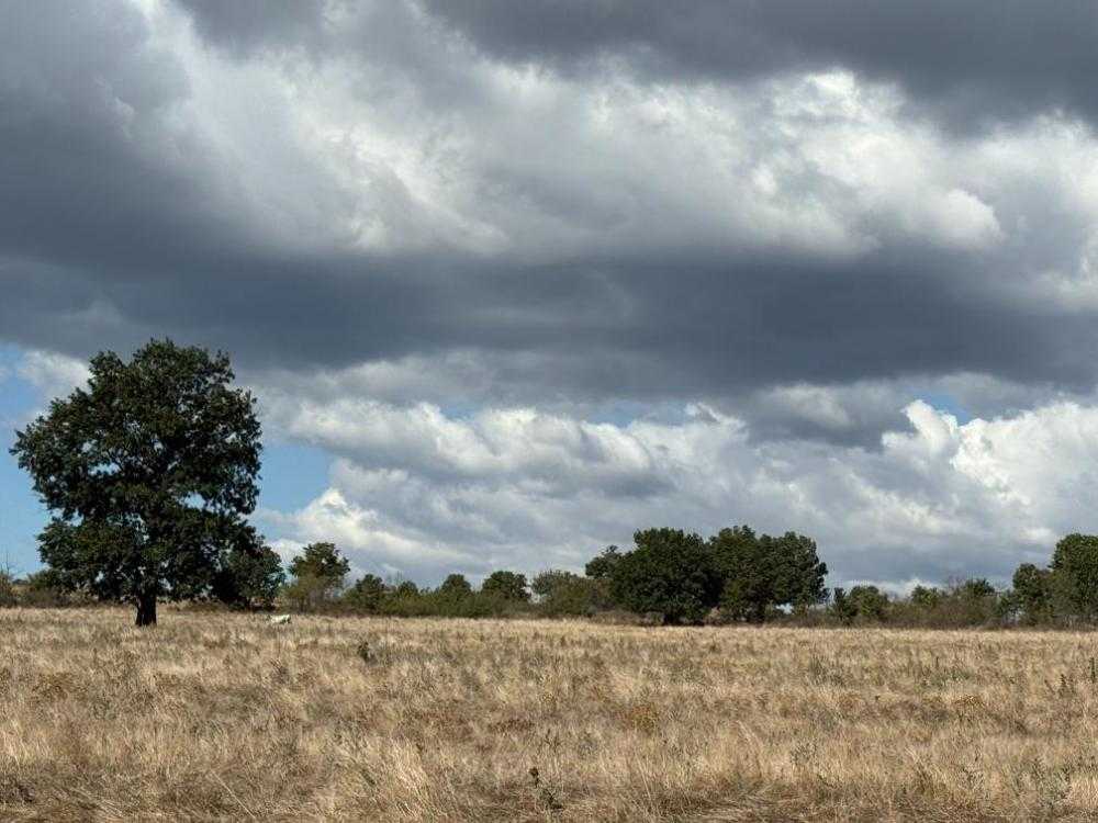 Земеделска земя Синьо камене