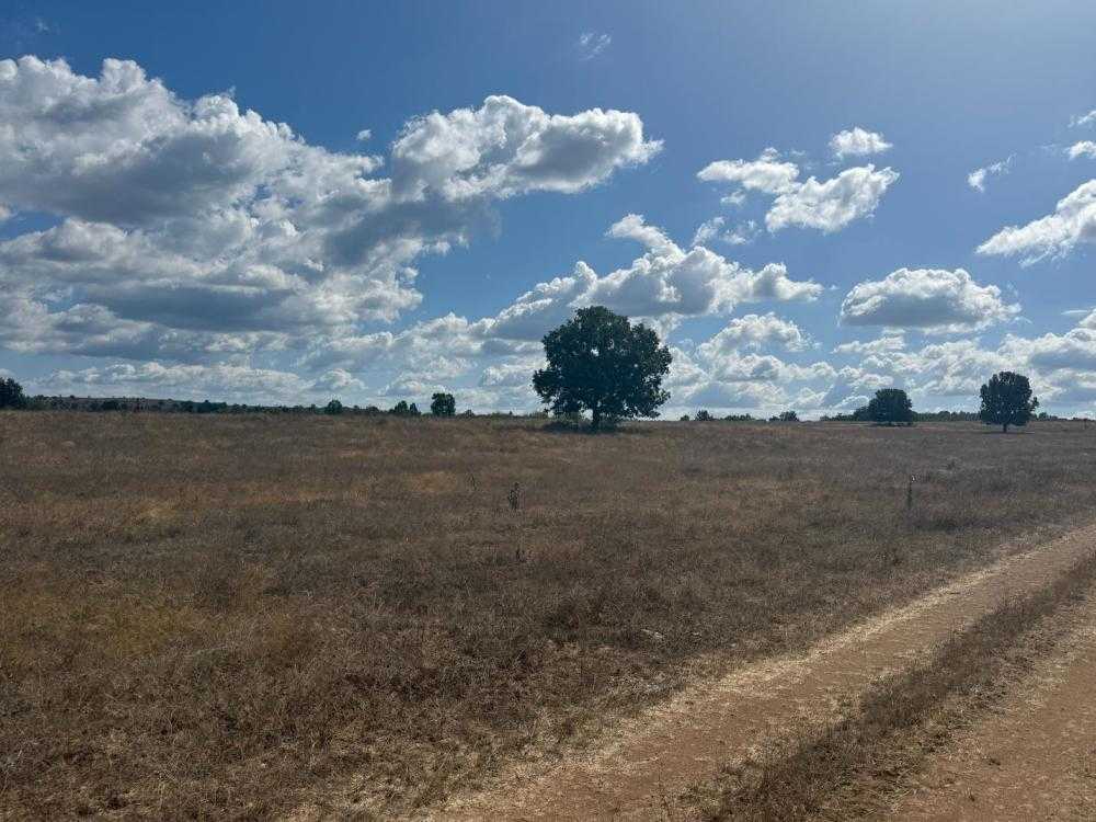 Земеделска земя Синьо камене