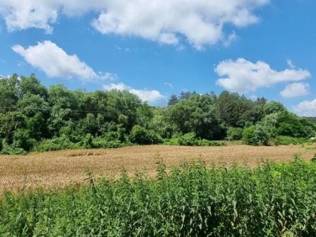 Парцел Каран Върбовка