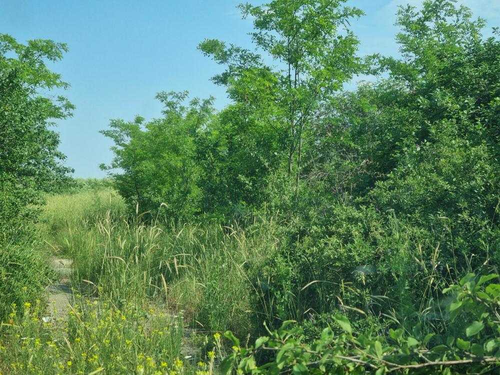 Парцел Войводино