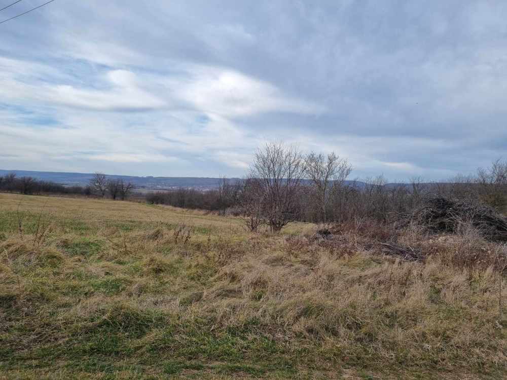 Парцел Сава