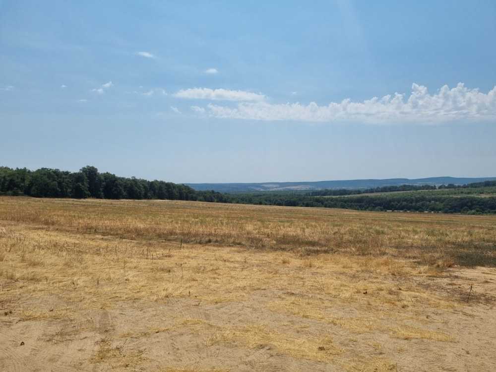 Земеделска земя Равна гора