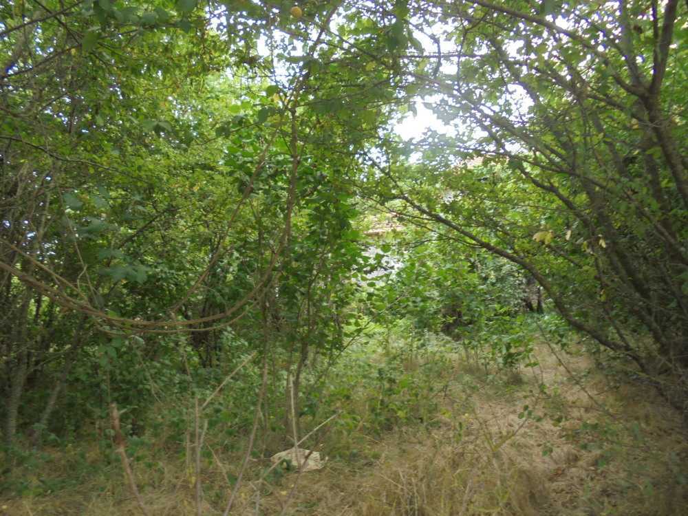 Къща Нова Камена