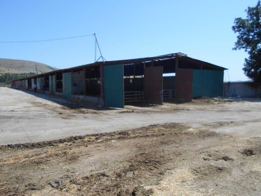 Производствен имот Капитан Димитриево