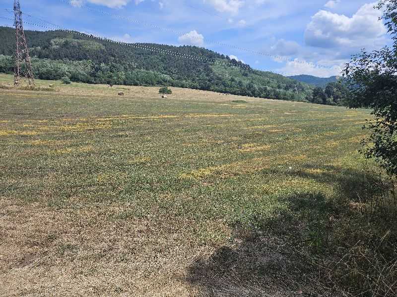 Земеделска земя Новачене