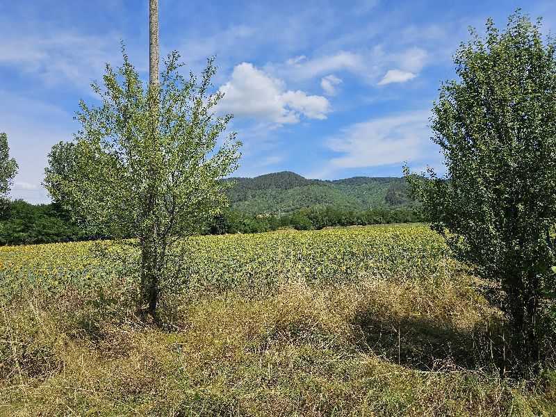 Земеделска земя Новачене