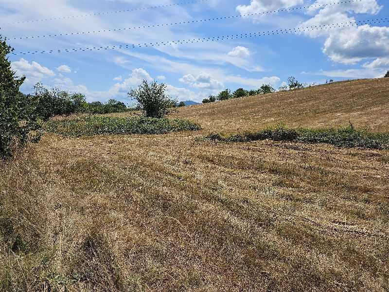 Земеделска земя Скравена