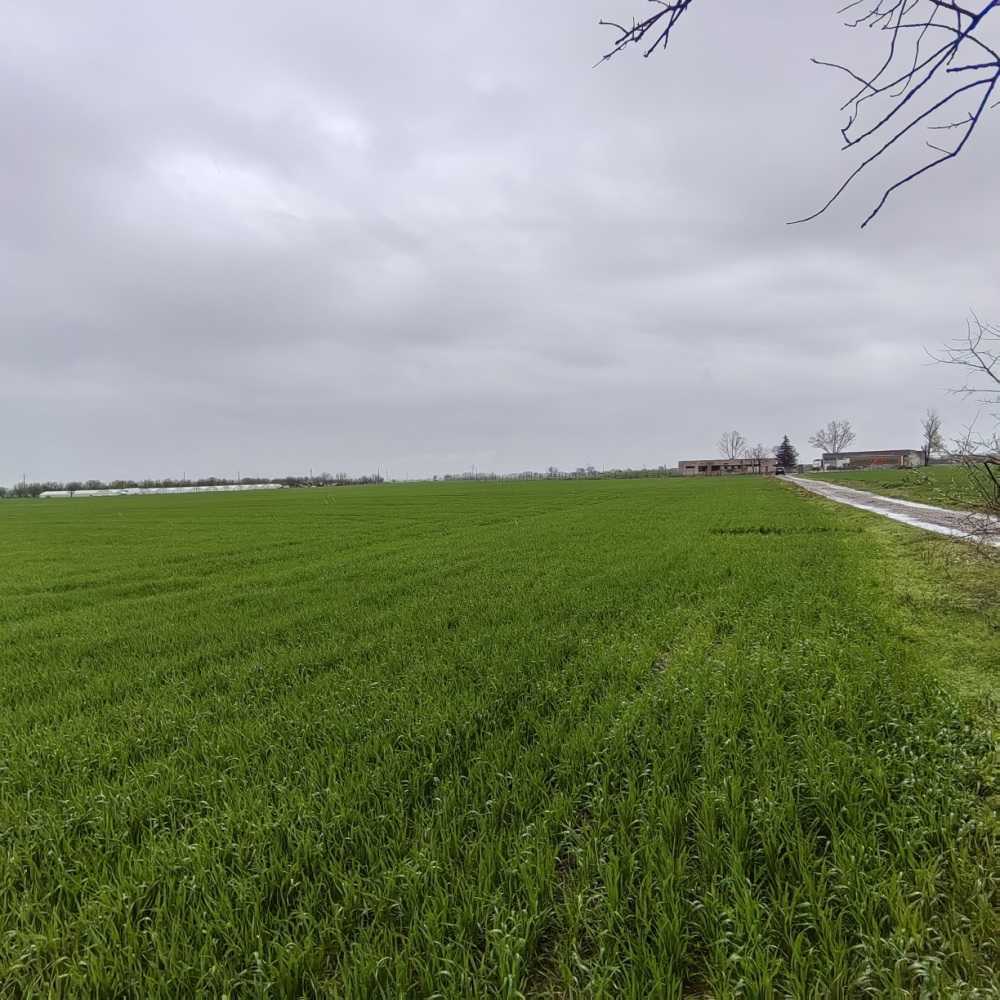 Земеделска земя Крумово