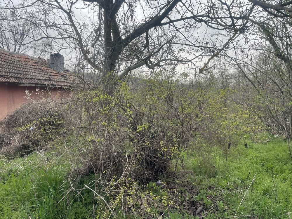 Парцел Камен