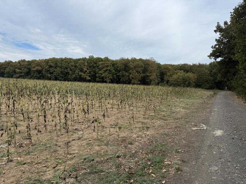 Земеделска земя Приморско