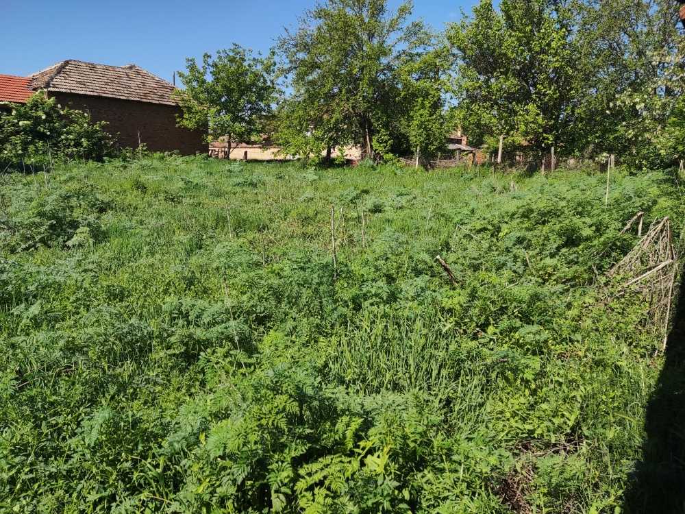 Парцел Павел