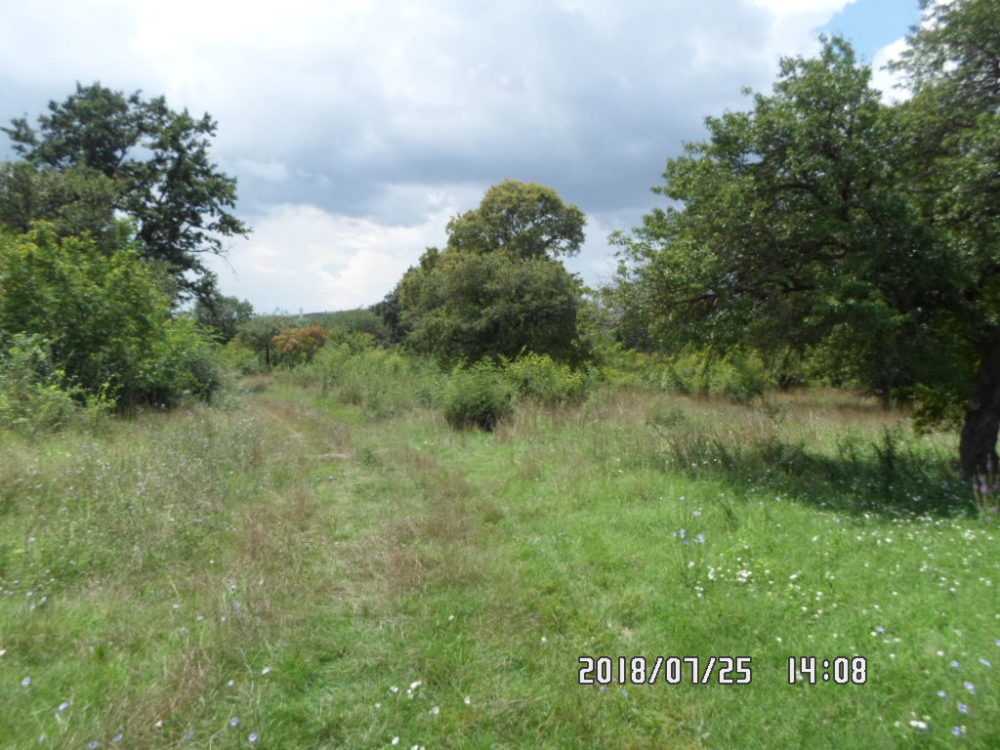 Парцел Черни връх