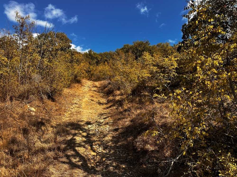 Парцел Емона