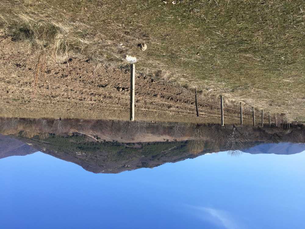 Земеделска земя Христо Даново