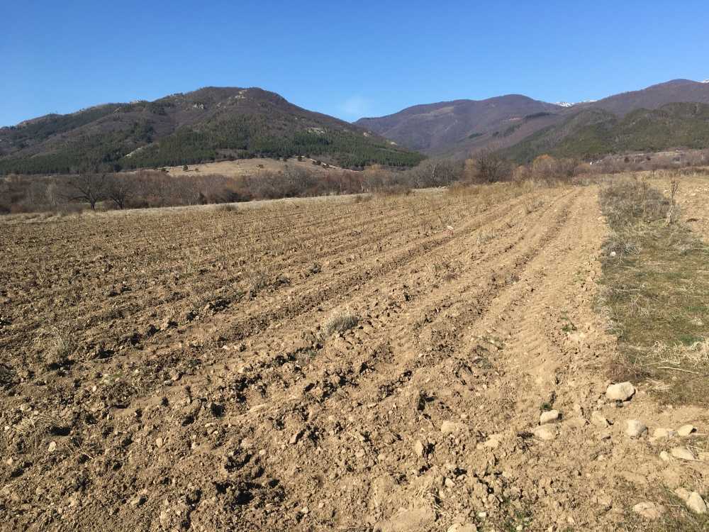Земеделска земя Христо Даново