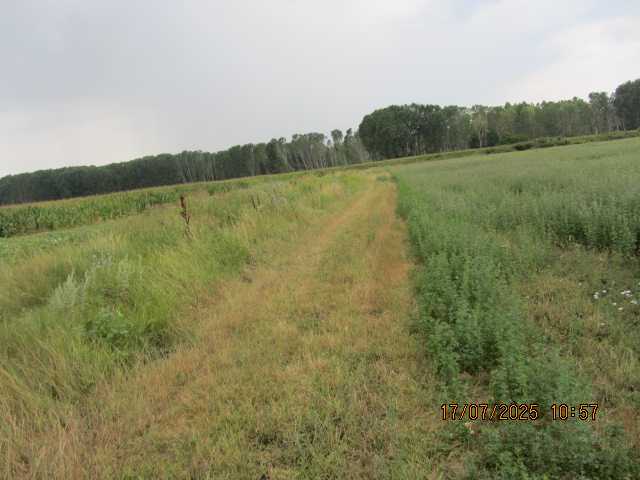 Земеделска земя Твърдица