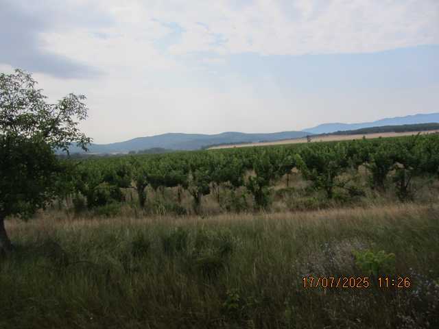 Земеделска земя Твърдица