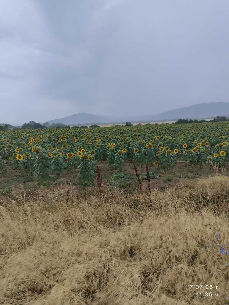 Земеделска земя Твърдица