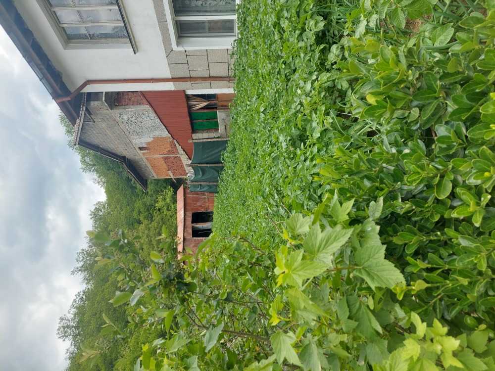 Парцел Неделино