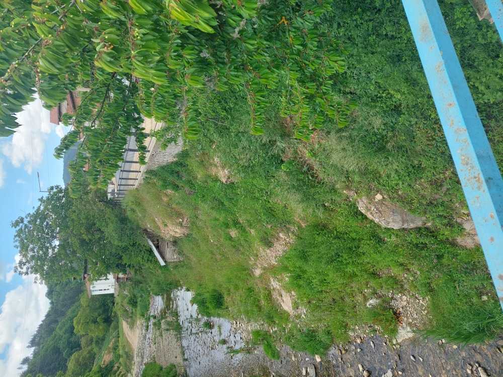 Парцел Неделино