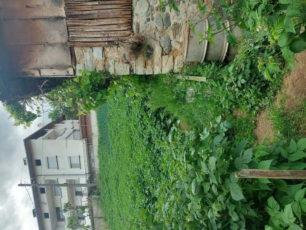 Парцел Неделино