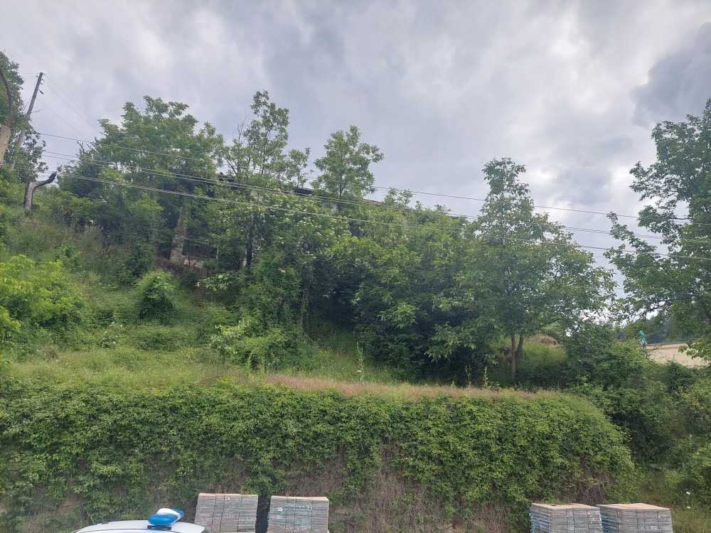 Парцел Неделино