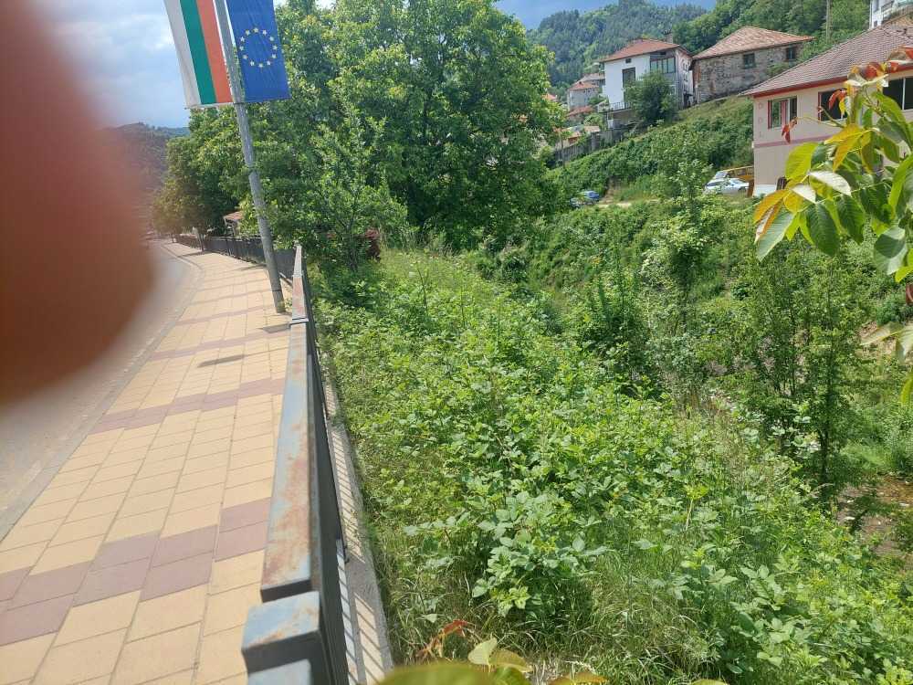 Парцел Неделино