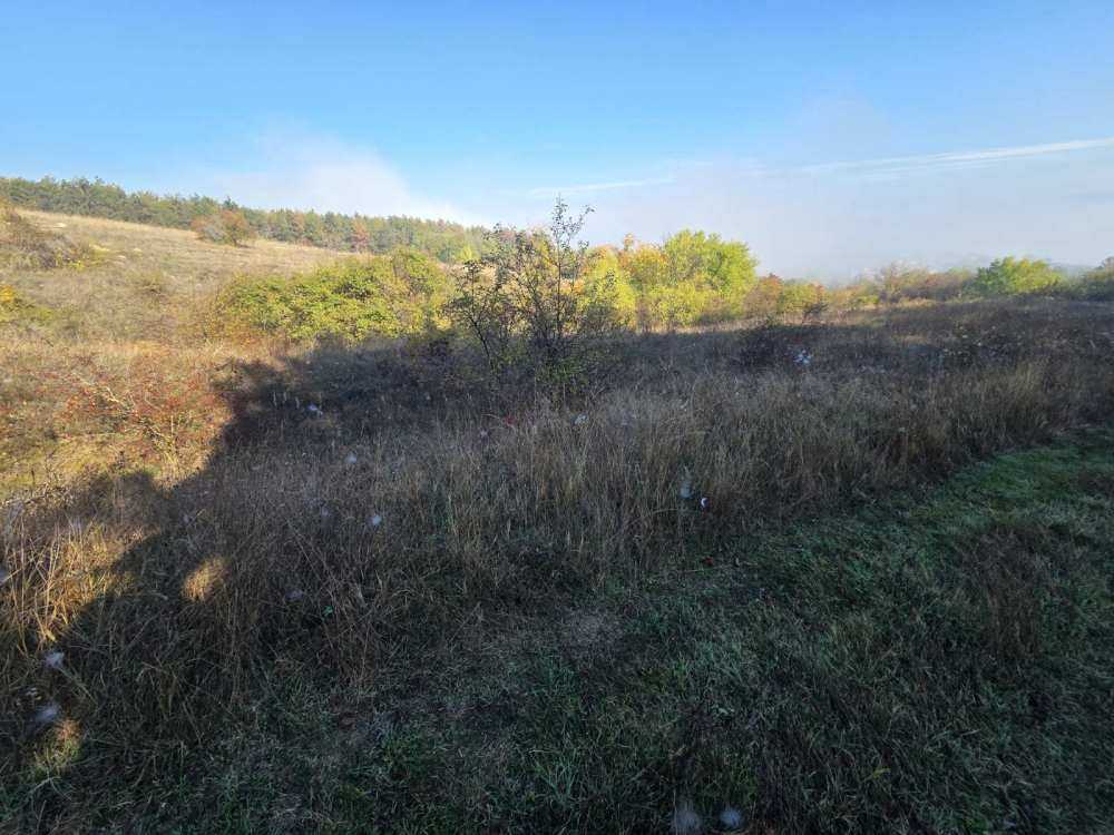 Парцел Девня