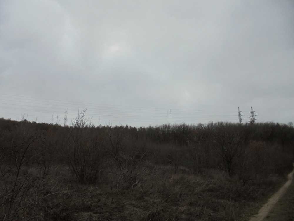 Парцел Оброчище