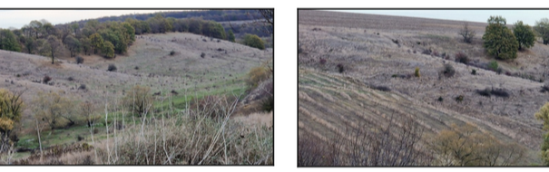 Земеделска земя Изворско