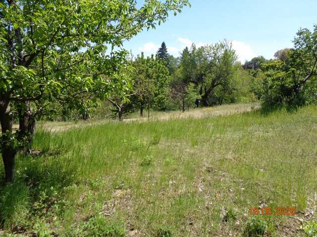 Парцел Яврово