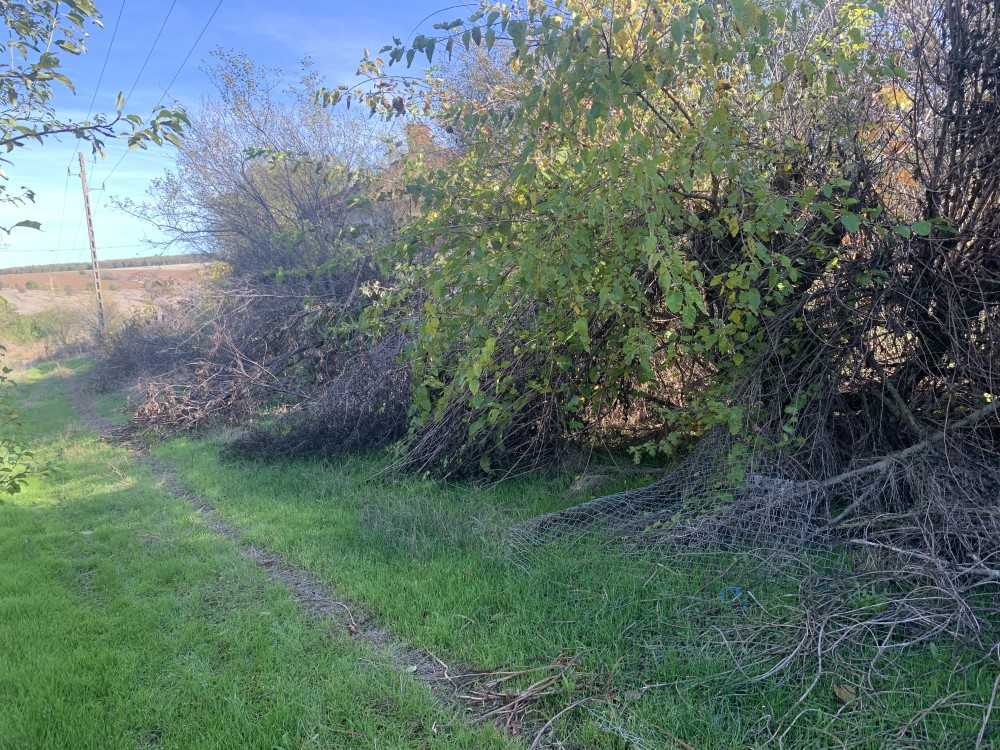 Парцел в Брестовене