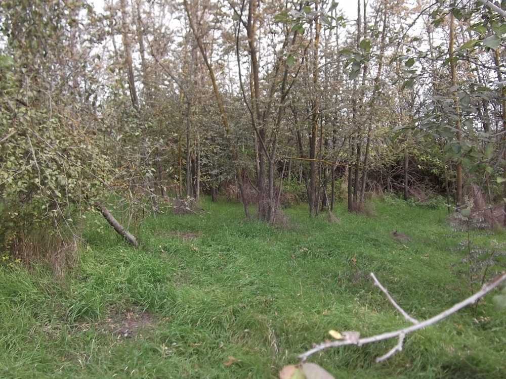 Парцел с къща в Красен