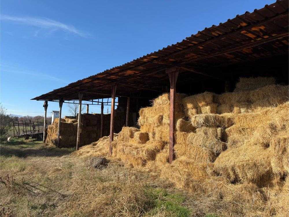 Други в Славянци